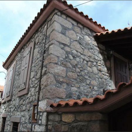 AntissaWood And Stone In The Path Of Lava别墅 外观 照片