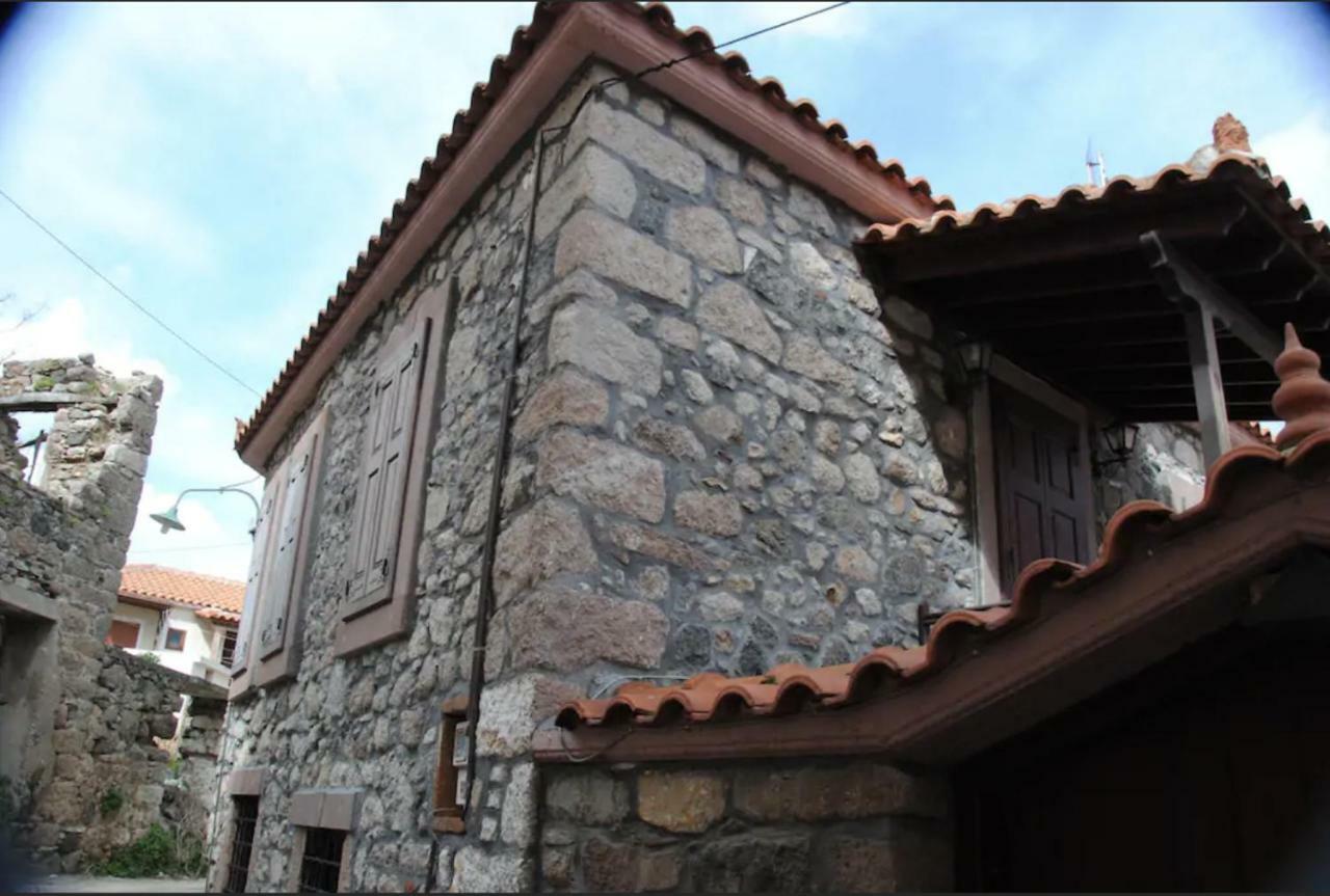 AntissaWood And Stone In The Path Of Lava别墅 外观 照片